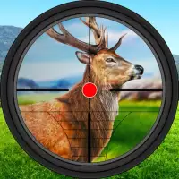 Deer Jungle Hunting Game 2023
