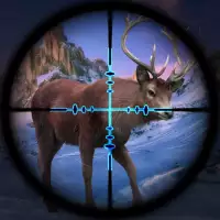 Deer Hunter Wild animal Jungle