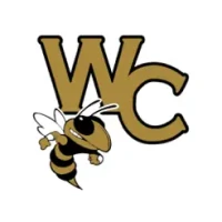 Wayne County GA Schools