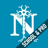 Dyslexia Test: School &amp; Pro