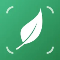 AI Plant Identifier&#12539;Care&#65293;Lily