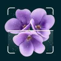 AI Plant Identification App