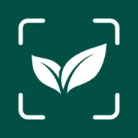 Plant Identification Diagnosis
