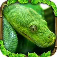 Snake Simulator