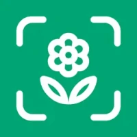 Planto: Plant Identifier