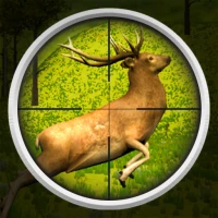 Deer Hunting Sniper Expert