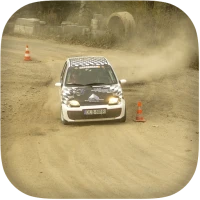 Rally Car Racing Simulator 3D