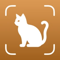 Cat Breed Identifier - Catium
