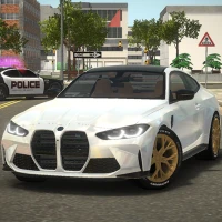 Racing in Car Driving Games 24