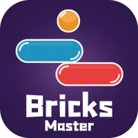 Bricks Master