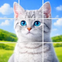 Fun Puzzle Master – Jigsaw