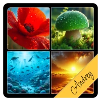4 Pics 1 Word - Guess the Word